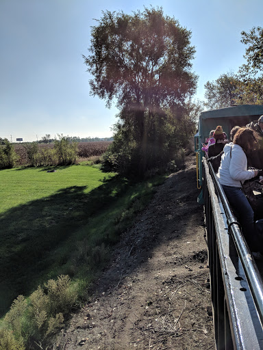 Non-Profit Organization «Southern Michigan Railroad», reviews and photos, 112 Bidwell St, Tecumseh, MI 49286, USA