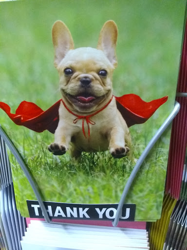 Home Goods Store «Christmas Tree Shops», reviews and photos, 790 Jefferson Rd, Rochester, NY 14623, USA