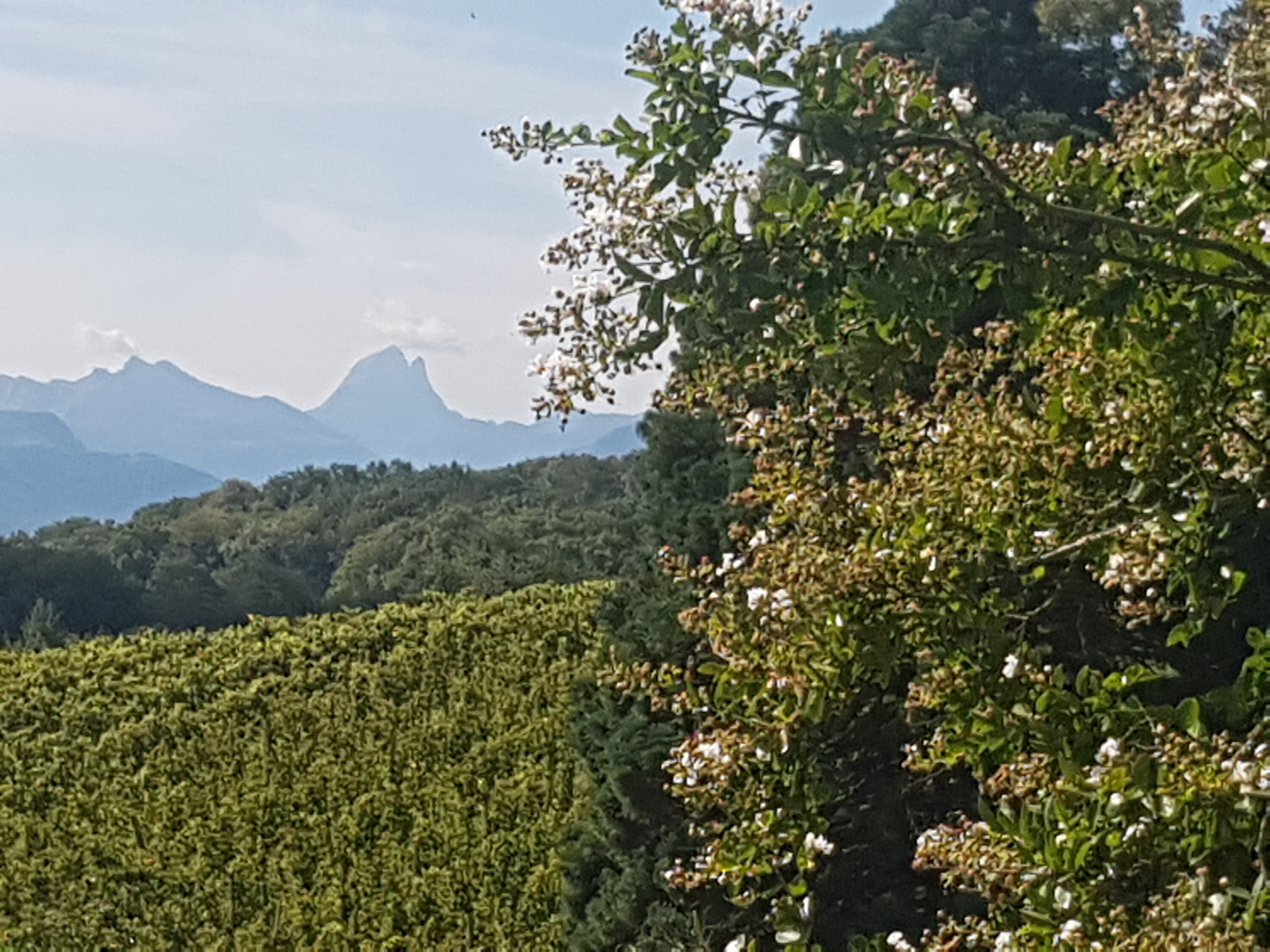 Photo n° 1 de l'avis de Olaf.u fait le 02/09/2023 à 19:52