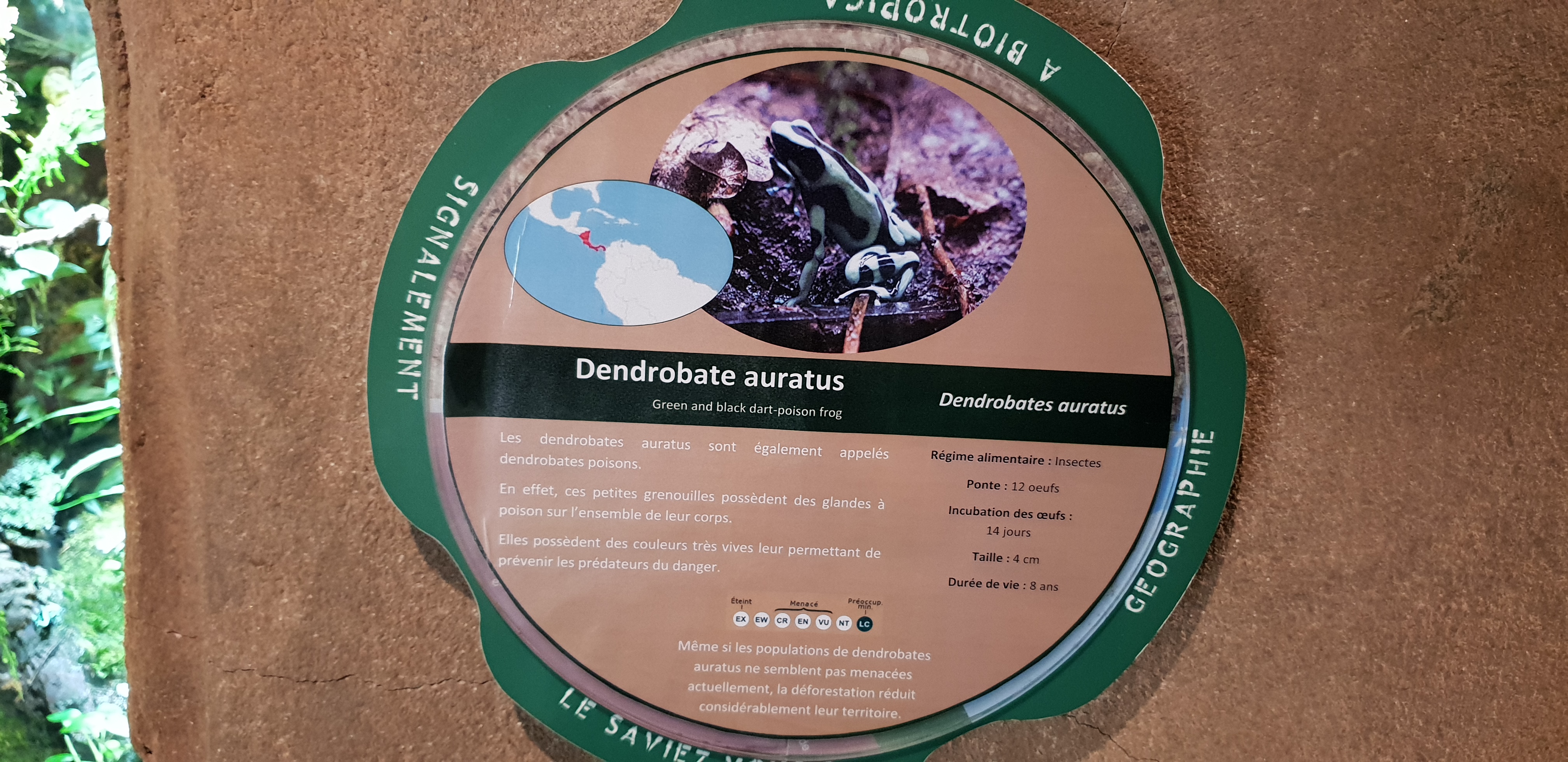Photo n° 20 de l'avis de Dominique.A fait le 20/04/2018 à 18:56