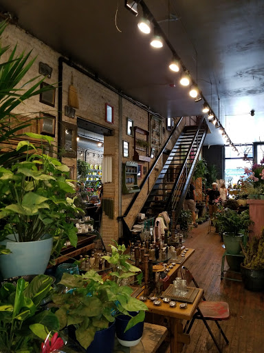 Florist «A New Leaf», reviews and photos, 1645 N Wells St, Chicago, IL 60614, USA