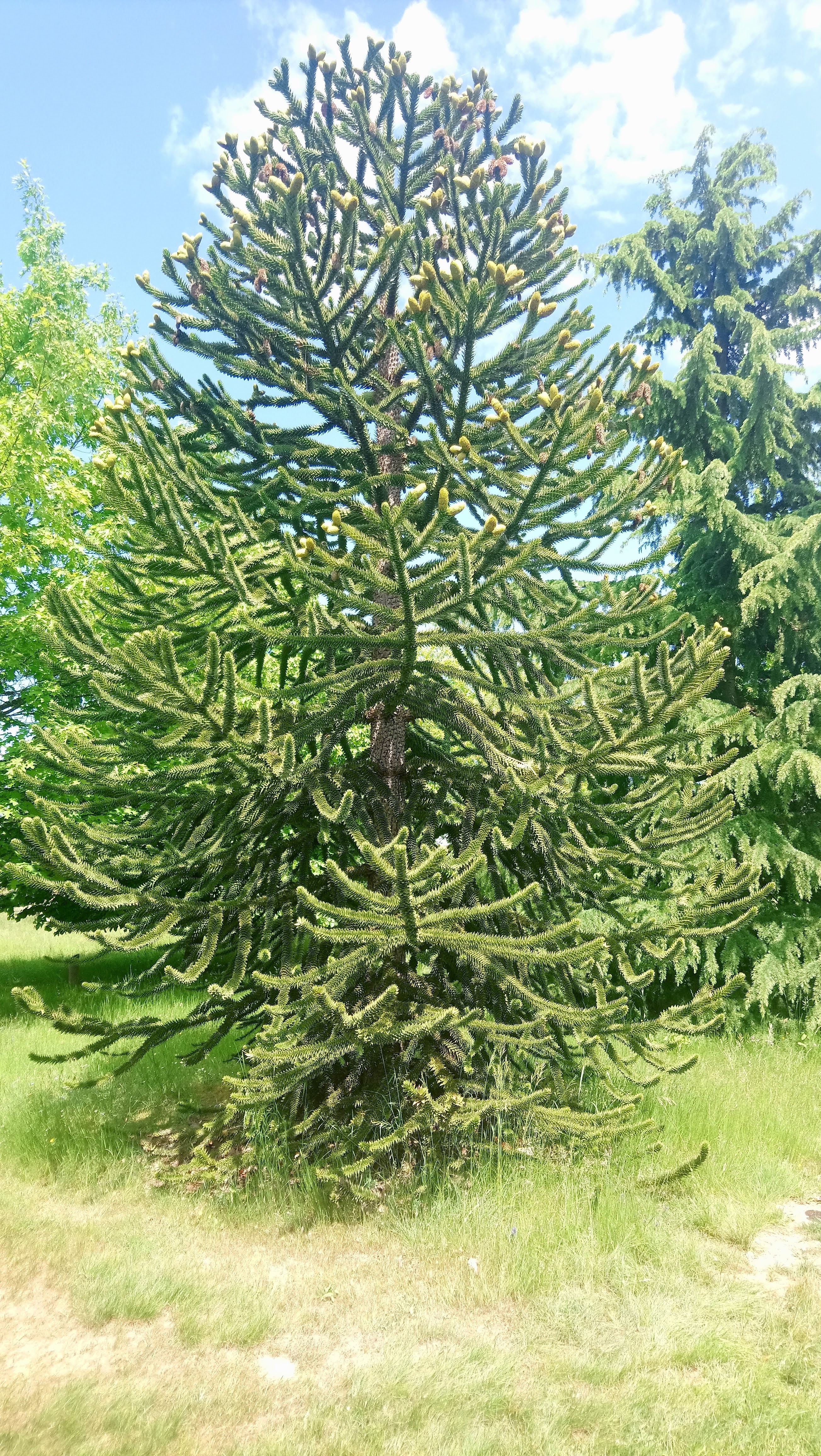 Photo n° 1 de l'avis de Magali.a fait le 08/05/2018 à 14:23