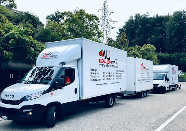 Rezensionen über Movers Umzug in Lugano - Umzugs- und Lagerservice