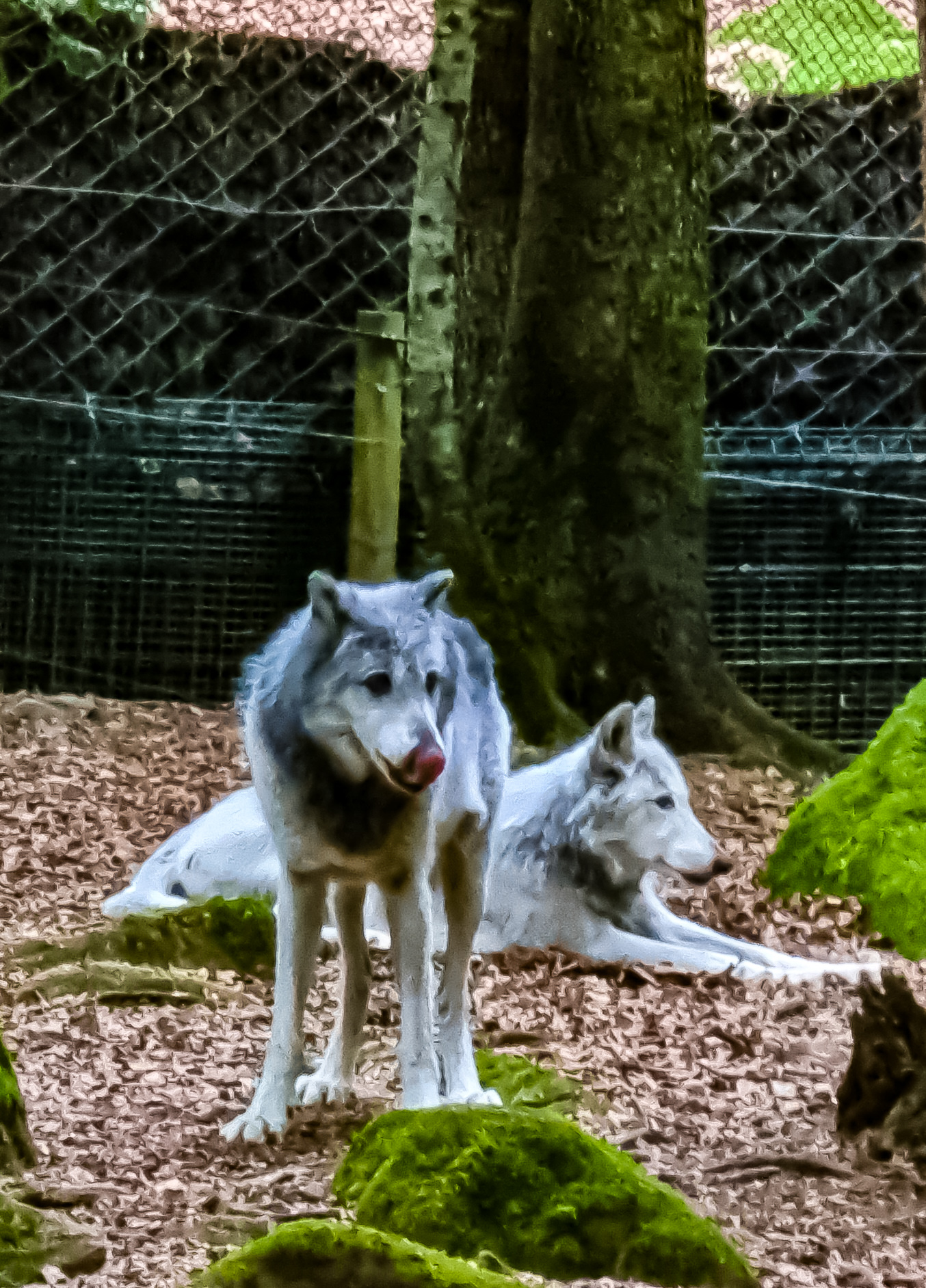 Photo n° 3 de l'avis de Greg.D fait le 26/06/2023 à 15:07