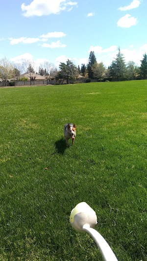 Stonegate Park - photo 3