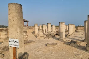 Al Baleed Archeological Park | متنزة البليد الأثري image