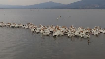 Pescados y mariscos 'EL GRANDE'