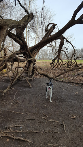 Park «Fairmount Park», reviews and photos, Reservoir Dr, Philadelphia, PA 19119, USA