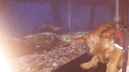 Aquarium «Woods Hole Science Aquarium», reviews and photos, 166 Water St, Woods Hole, MA 02543, USA