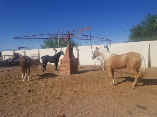 Establo para residencia de caballos Chihuahua