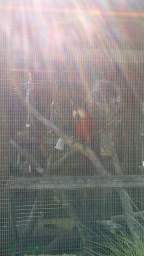 Zoo «Little Ponderosa Zoo and Rescue», reviews and photos, 629 Granite Rd, Clinton, TN 37716, USA