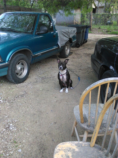 Park «Martin Weiss Park», reviews and photos, 3400 W Clarendon Dr, Dallas, TX 75211, USA