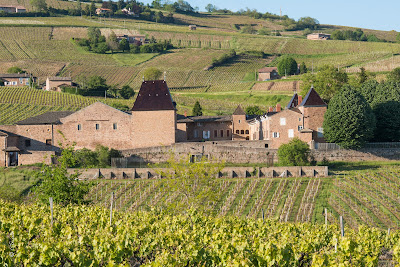 LE CHATEAU DE JULIENAS à Juliénas