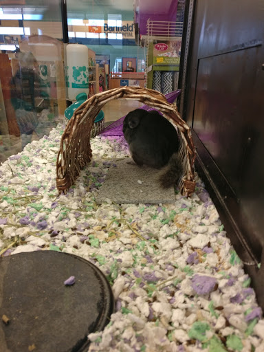 Pet Supply Store «PetSmart», reviews and photos, 13600 Baltimore Ave, Laurel, MD 20707, USA