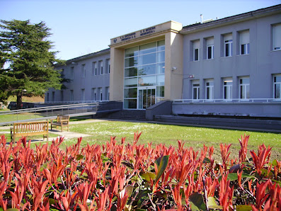 Facultad de Medicina y Enfermería de la UPV/EHU Paseo, Begiristain Doktorea Pasealekua, 105, 20014 Donostia-San Sebastian, Gipuzkoa, España