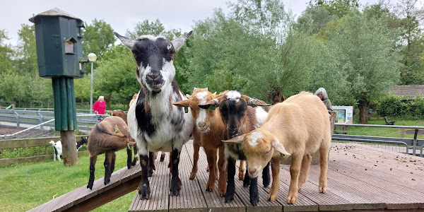 Kinderboerderij Merenwijk