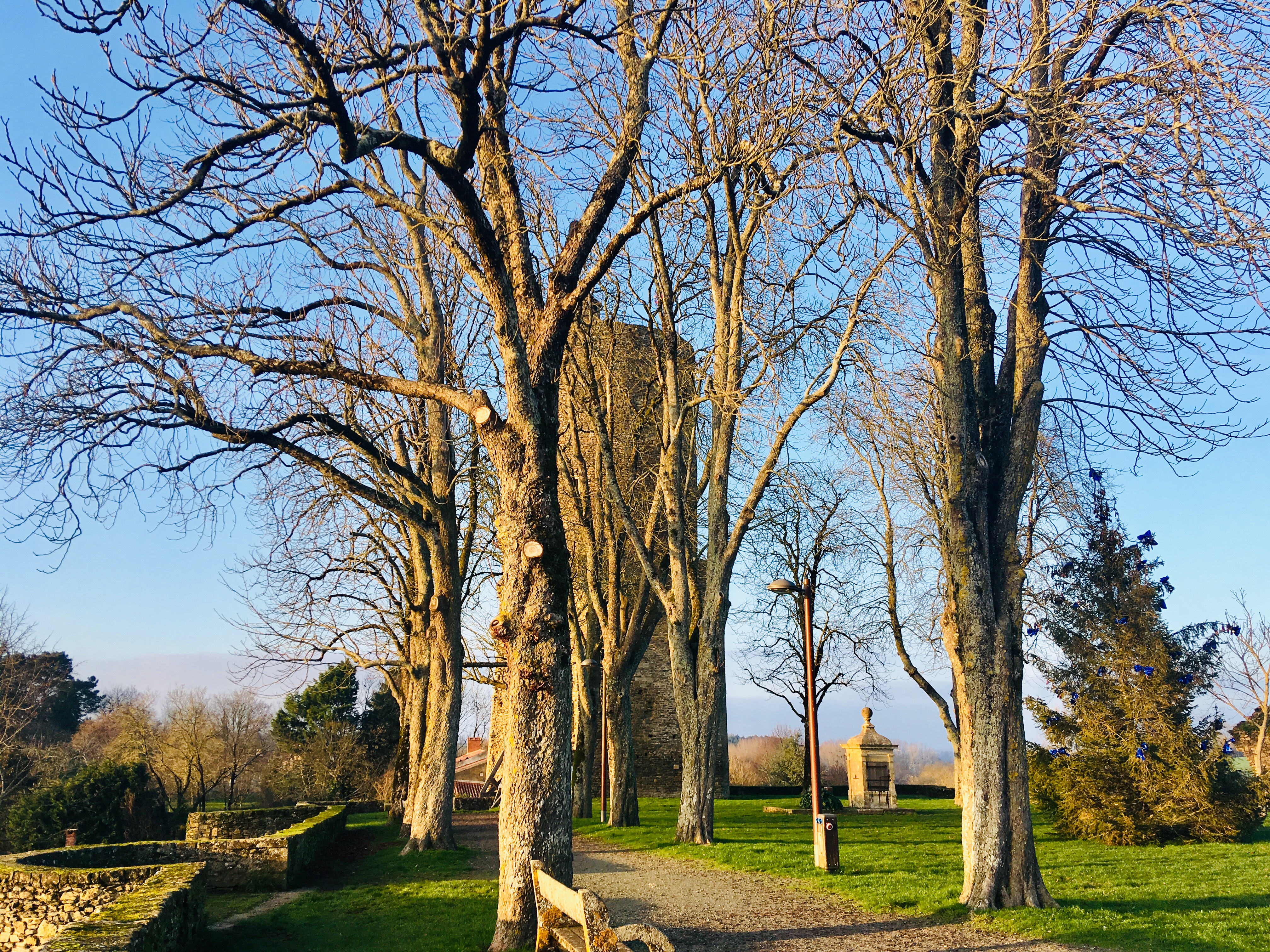 Photo n° 2 de l'avis de Megan.t fait le 15/01/2019 à 02:21