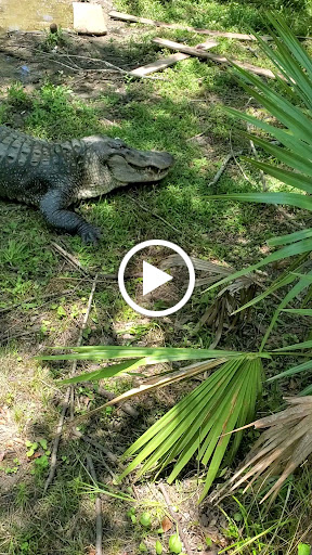 Coffee Shop «Coffee House», reviews and photos, 6490 LA-22, Sorrento, LA 70778, USA