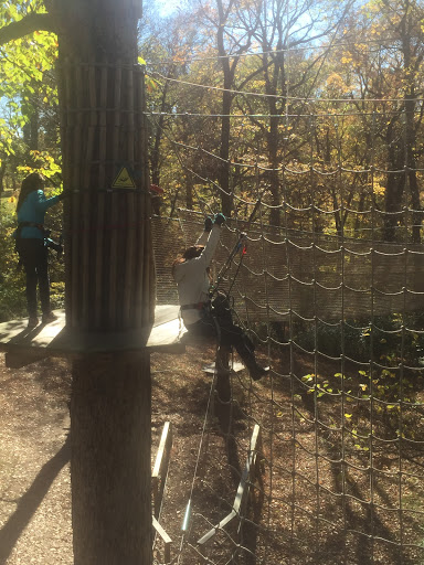 Recreation Center «Go Ape Zip Line & Treetop Adventure - Creve Coeur Park», reviews and photos, 13219 Streetcar Dr, Maryland Heights, MO 63043, USA