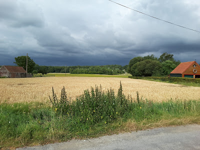 Lacène Hervé à Arques