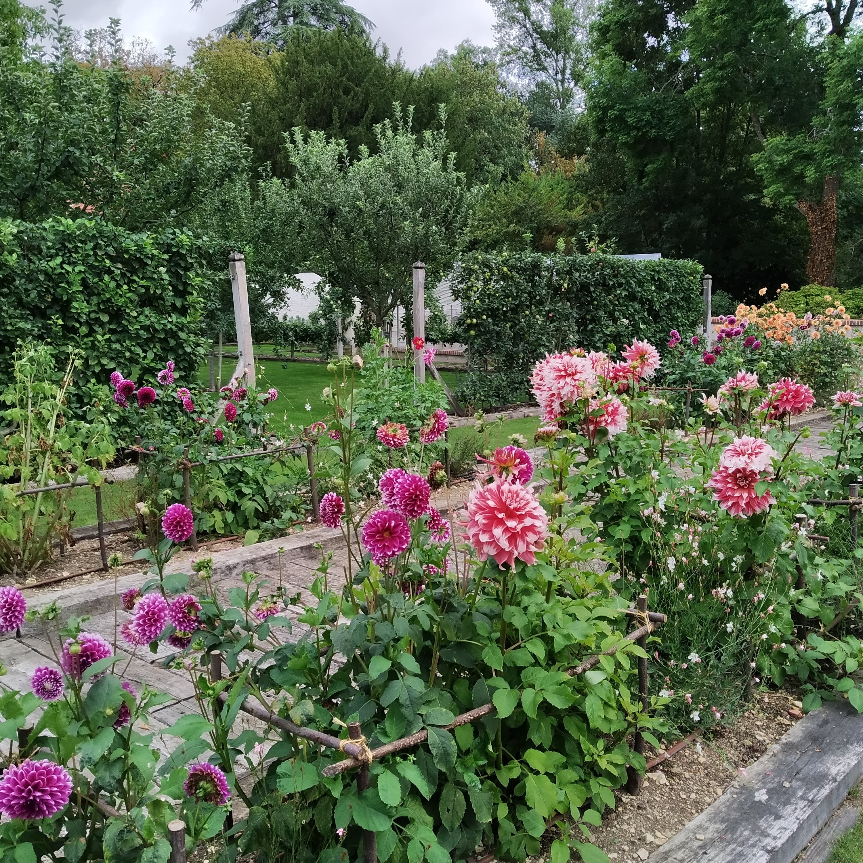 Photo n° 13 de l'avis de babeth.i fait le 17/09/2020 à 20:25