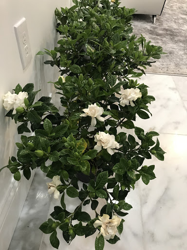 Home Improvement Store «The Home Depot», reviews and photos, 177 Willard St, Quincy, MA 02169, USA