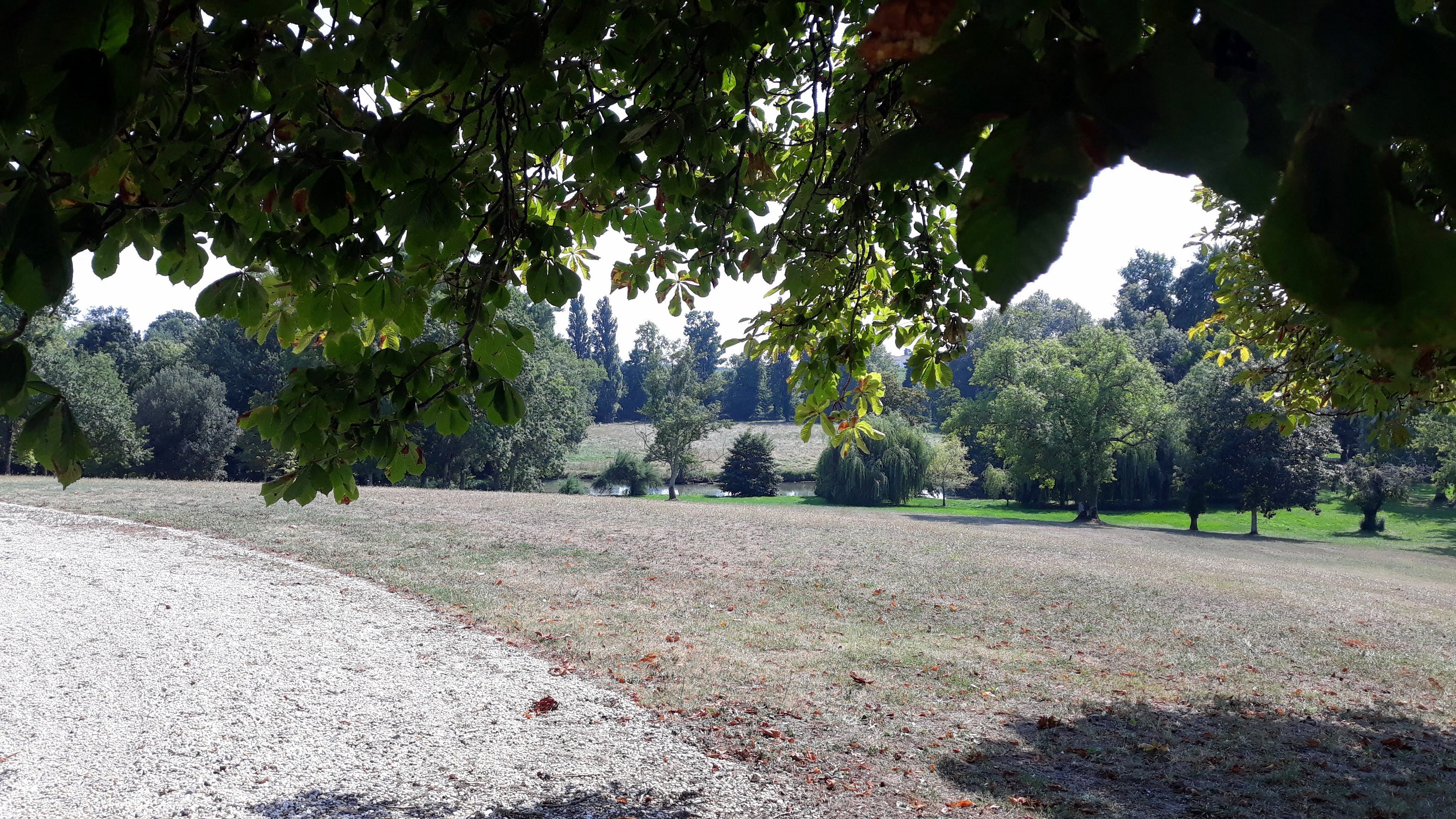 Photo n° 2 de l'avis de Germione.P fait le 25/08/2023 à 07:29