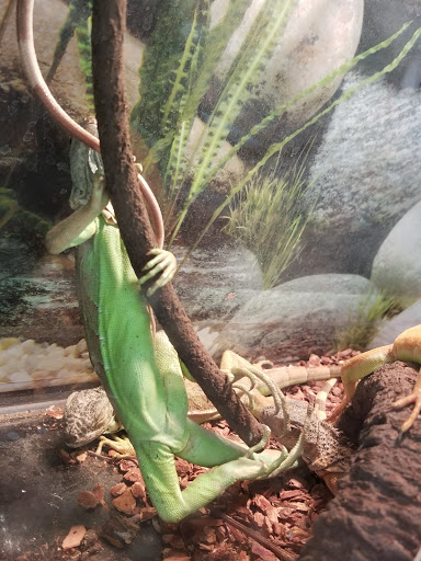 Pet Supply Store «Petco Animal Supplies», reviews and photos, 1014 Shoppes At Midway Dr, Knightdale, NC 27545, USA