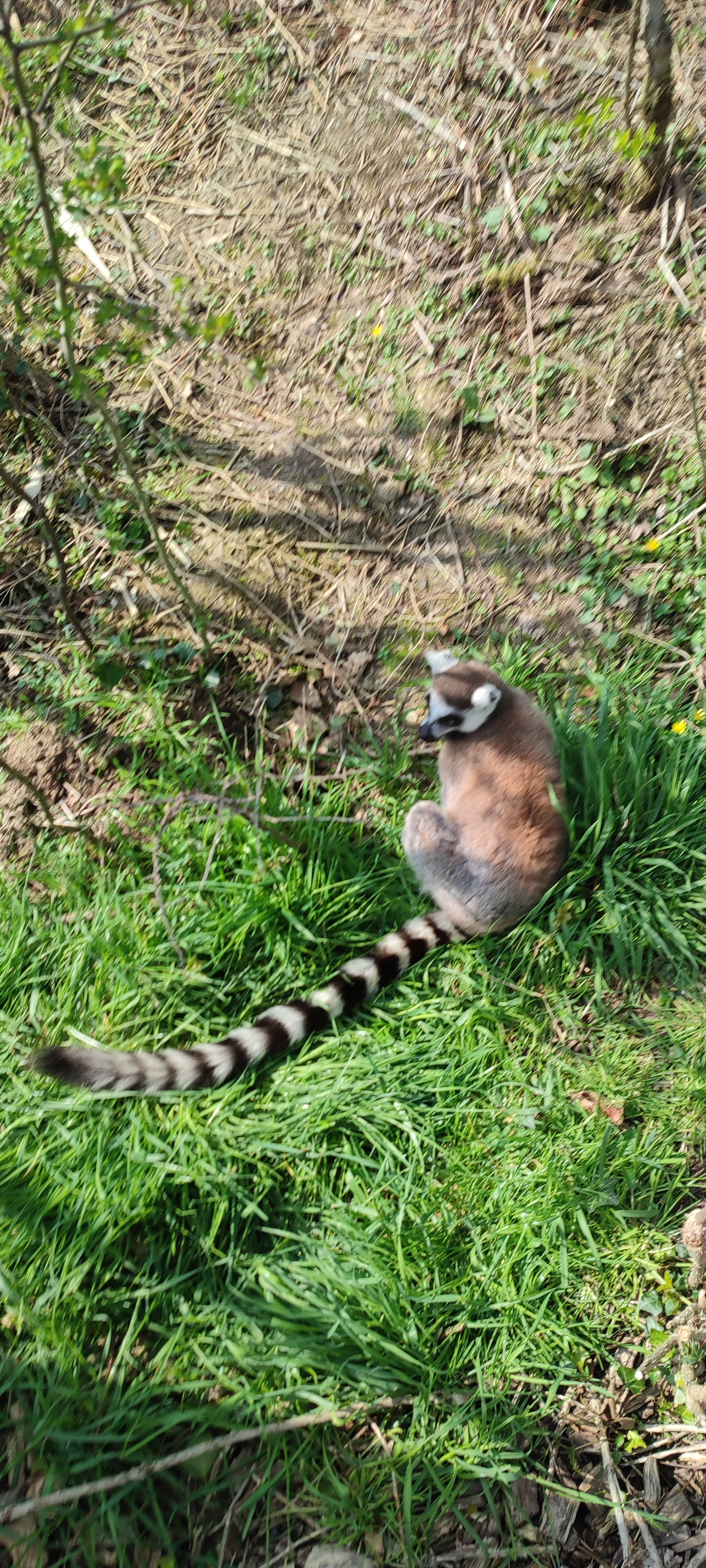 Photo n° 2 de l'avis de philippe.u fait le 29/04/2023 à 08:57