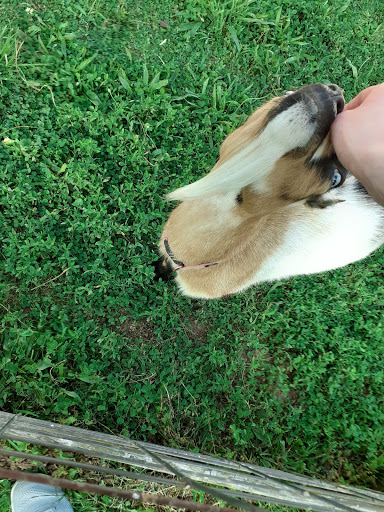 Campground «Hickory Hills Campground», reviews and photos, 499 Dixie Hill Rd, Spencer, IN 47460, USA