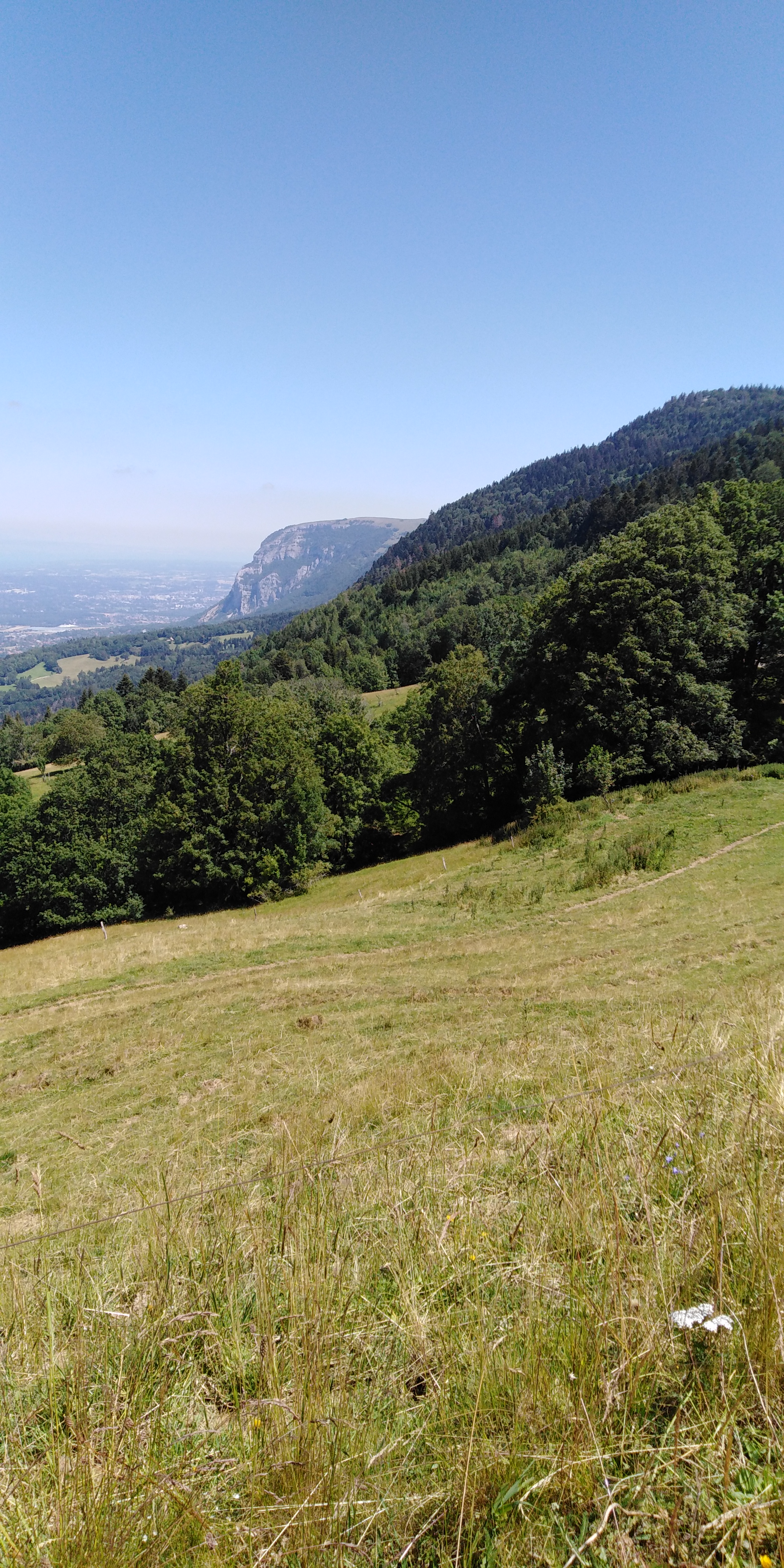 Photo n° 2 de l'avis de Nathalie.e fait le 12/07/2020 à 11:52