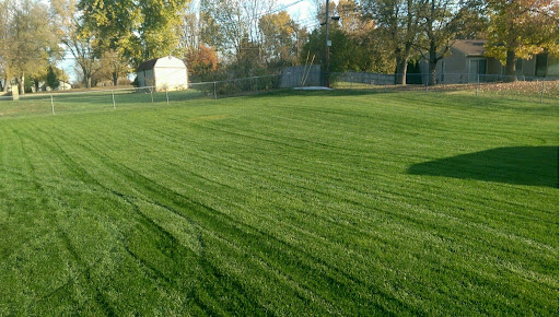 Turf supplier Dayton