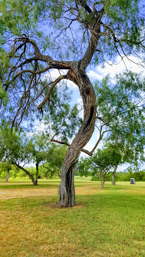 Golf Course «Harlingen Municipal Golf Course», reviews and photos, 2640 Golf Course Dr, Harlingen, TX 78550, USA