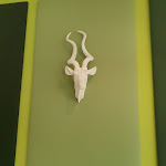 Photo n°3 de l'avis de Wolfgang.r fait le 21/05/2022 à 17:07 sur le  Hey Lou Hotel Piding (vormals Styles Hotel) à Piding