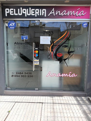 Anamía - Montevideo