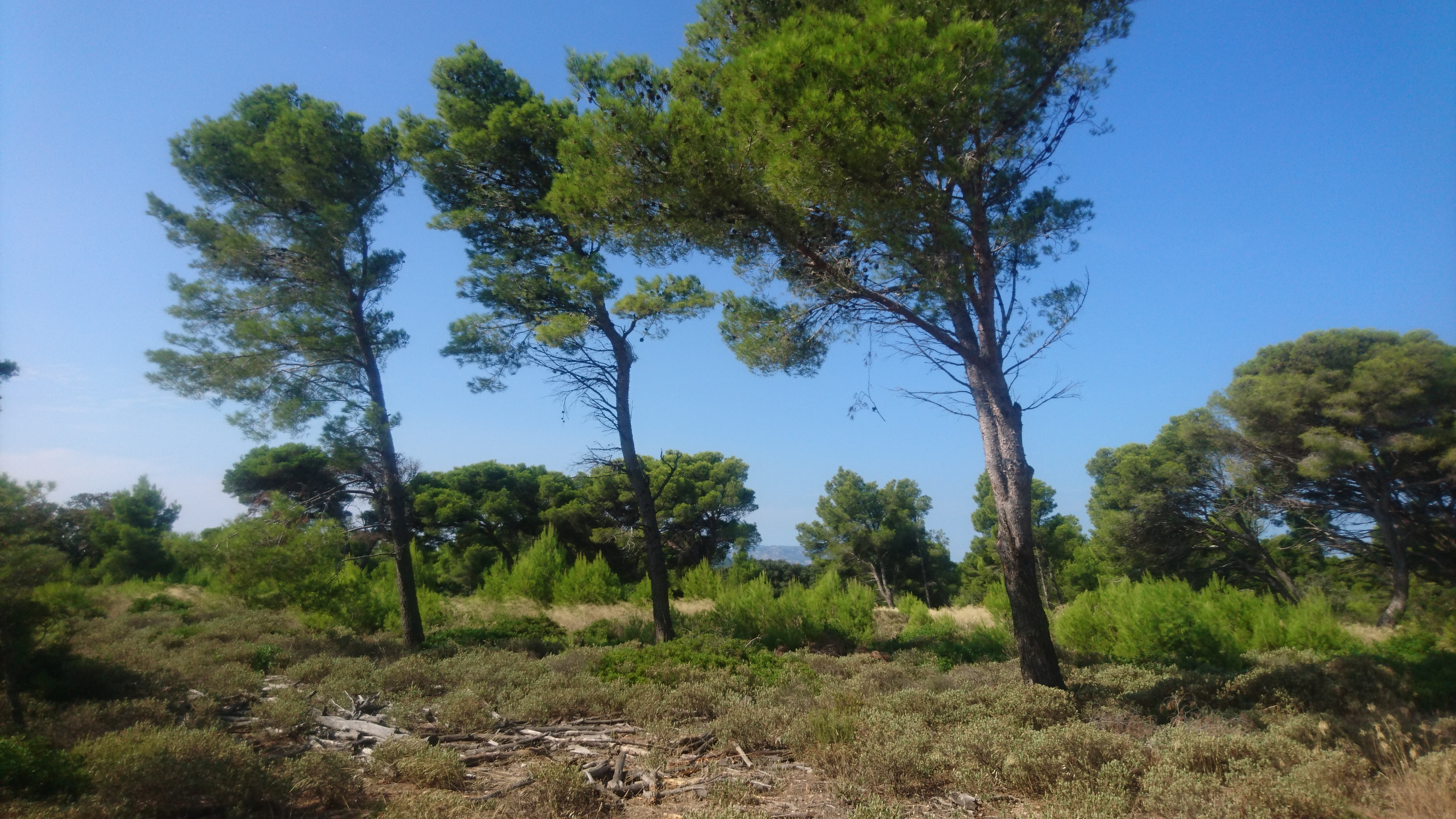 Photo n° 2 de l'avis de jean-yves.u fait le 21/08/2018 à 10:11