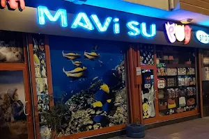 MAVİ SU PETSHOP ve AKVARYUM image