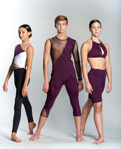 Dance Company «Stars Dance Studio», reviews and photos, 3800 SW 137th Ave, Miami, FL 33175, USA