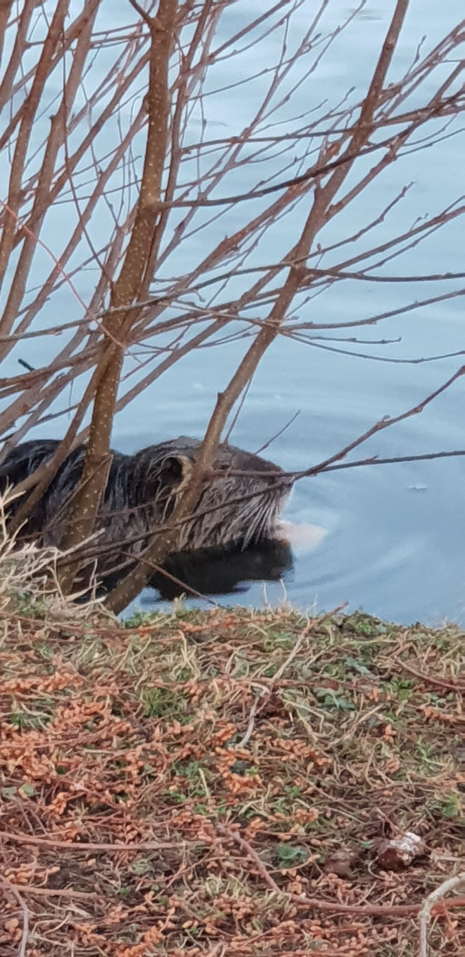 Photo n° 3 de l'avis de Fontaine.e fait le 12/03/2019 à 06:44