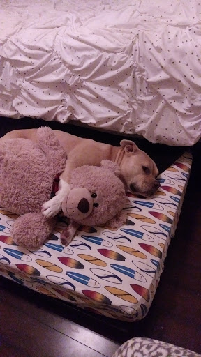Menifee Animal Hospital image
