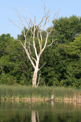 Nature Preserve «Carney Marsh Nature Preserve», reviews and photos, 580 SE 54th St, Ankeny, IA 50021, USA