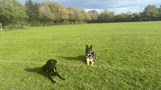 Reviews of Priestlands Dogs in Milton Keynes - Dog trainer