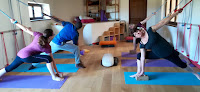 Yoga Iyengar Crest