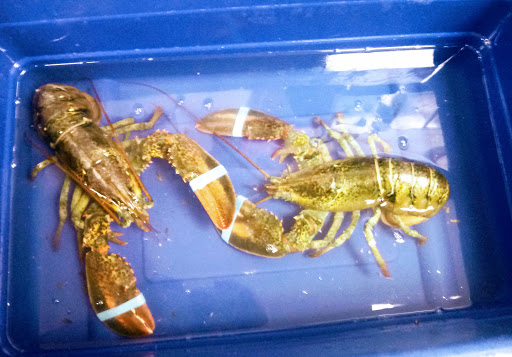 Supermarket «Super Stop & Shop», reviews and photos, 180 Danbury Rd, New Milford, CT 06776, USA