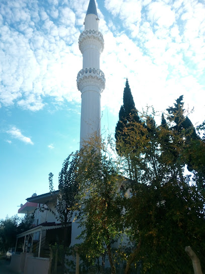 Payallar Fatma Çelik Camii