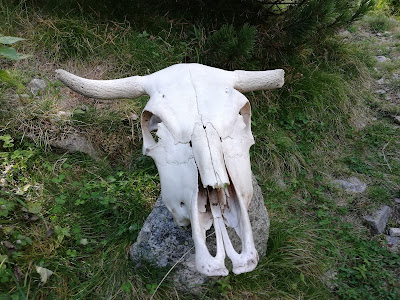 Pouzens Gérard à Amélie-les-Bains-Palalda
