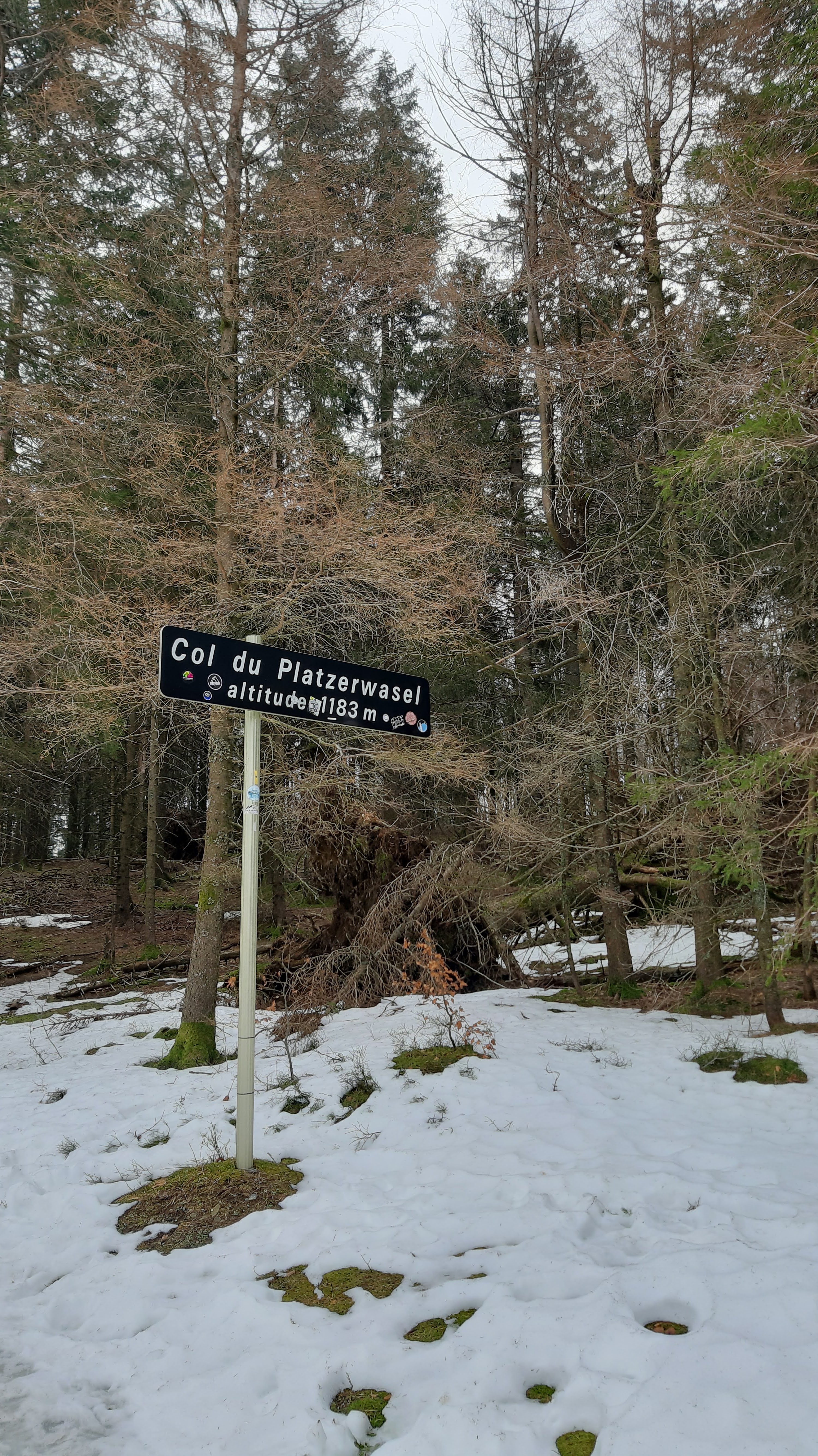Photo n° 3 de l'avis de Veronique.G fait le 11/03/2023 à 23:03