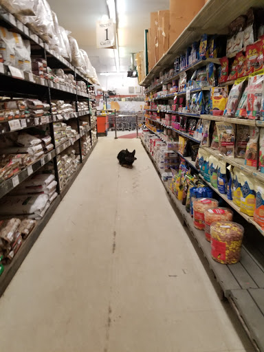 Pet Supply Store «K-9 Specialties», reviews and photos, 31936 Mound Rd, Warren, MI 48092, USA