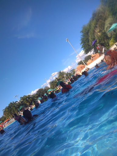 Water Park «Aquatica», reviews and photos, 5800 Water Play Way, Orlando, FL 32821, USA