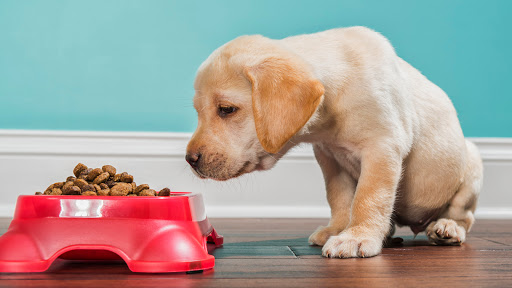 Toyota Dealer «Carlson Toyota», reviews and photos, 12880 Riverdale Dr NW, Coon Rapids, MN 55448, USA